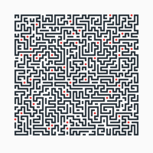 002_maze